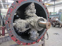 IMG_2073 IMG_2073