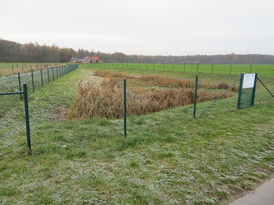 Regenrückhaltebecken Am Siechenhorst