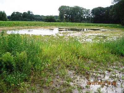 Baugebiet Königstal - Regenwassersickermulde nach einem Starkregen