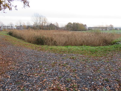 Regenrückhaltebecken Reichenbacher Straße